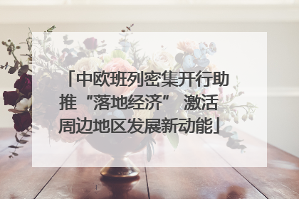中欧班列密集开行助推“落地经济” 激活周边地区发展新动能