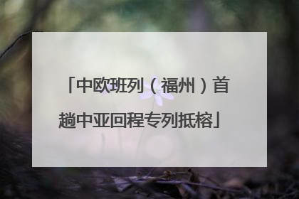 中欧班列（福州）首趟中亚回程专列抵榕