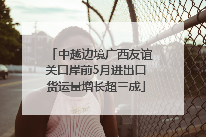中越边境广西友谊关口岸前5月进出口货运量增长超三成