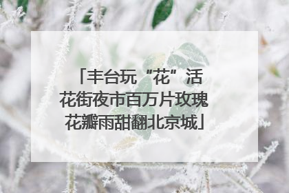 丰台玩“花”活 花街夜市百万片玫瑰花瓣雨甜翻北京城