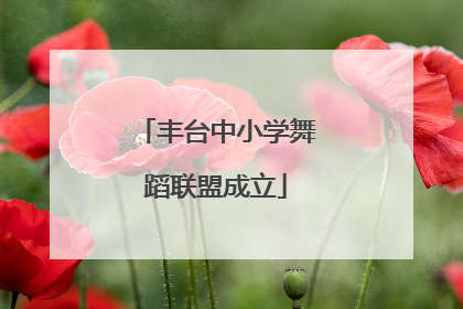 丰台中小学舞蹈联盟成立