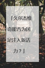 久尔杰维奇能否为国足注入新活力？
