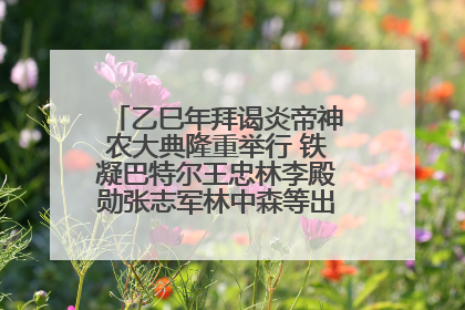 乙巳年拜谒炎帝神农大典隆重举行 铁凝巴特尔王忠林李殿勋张志军林中森等出席 孙伟主持