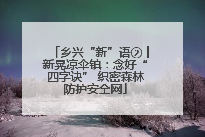 乡兴“新”语②丨新晃凉伞镇：念好“四字诀” 织密森林防护安全网