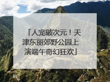 人宠破次元！天津东丽郊野公园上演端午奇幻狂欢