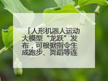 人形机器人运动大模型“龙跃”发布，可根据指令生成跑步、舞蹈等连贯动作