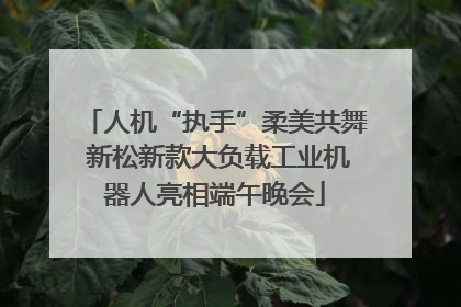 人机“执手”柔美共舞 新松新款大负载工业机器人亮相端午晚会