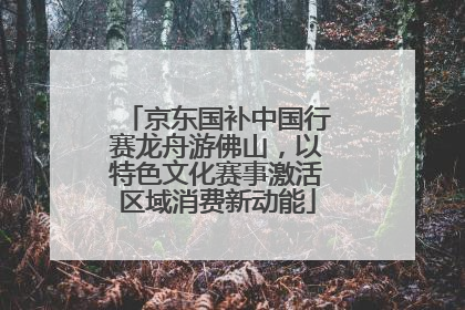 京东国补中国行赛龙舟游佛山，以特色文化赛事激活区域消费新动能