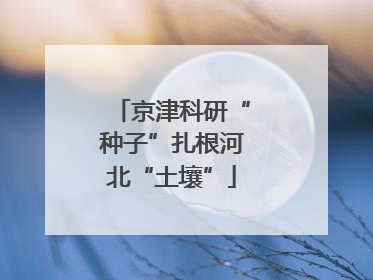 京津科研“种子”扎根河北“土壤”