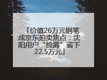 价值26万元钢笔成京东拍卖焦点：沈阳用户“捡漏”省下22.5万元