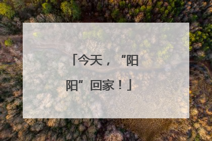 今天，“阳阳”回家！