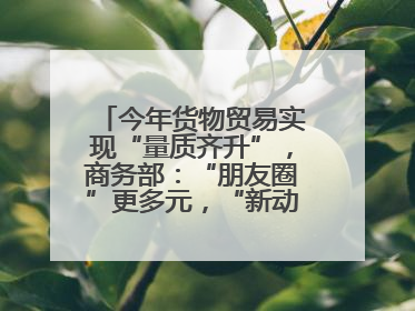 今年货物贸易实现“量质齐升”，商务部：“朋友圈”更多元，“新动能”加快集聚