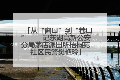 从“窗口”到“巷口”——记东湖高新公安分局茅店派出所梧桐苑社区民警樊艳玲