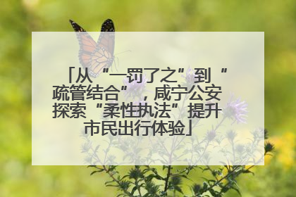 从“一罚了之”到“疏管结合”，咸宁公安探索“柔性执法”提升市民出行体验