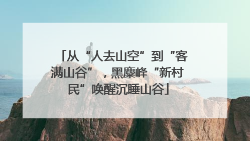 从“人去山空”到“客满山谷”，黑麋峰“新村民”唤醒沉睡山谷
