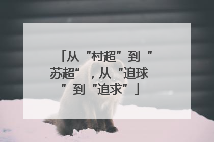 从“村超”到“苏超”，从“追球”到“追求”