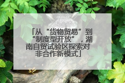 从“货物贸易”到“制度型开放”，湖南自贸试验区探索对非合作新模式