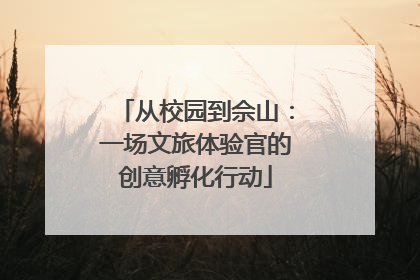 从校园到佘山：一场文旅体验官的创意孵化行动