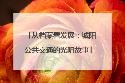 从档案看发展：城阳公共交通的光阴故事