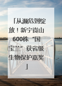 从濒危到绽放！新宁崀山600株“国宝兰”获省级生物保护嘉奖