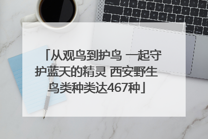 从观鸟到护鸟 一起守护蓝天的精灵 西安野生鸟类种类达467种