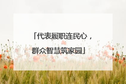代表履职连民心，群众智慧筑家园