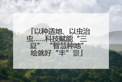 以种适地、以虫治虫……科技赋能“三夏” “智慧种地”绘就好“丰”景