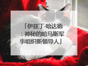 伊兹丁·哈达德：神秘的哈马斯军事组织新领导人