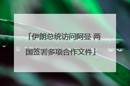 伊朗总统访问阿曼 两国签署多项合作文件