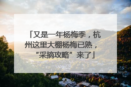 又是一年杨梅季，杭州这里大棚杨梅已熟，“采摘攻略”来了