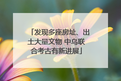 发现多座房址、出土大量文物 中乌联合考古有新进展