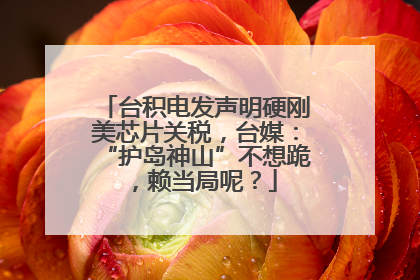 台积电发声明硬刚美芯片关税，台媒：“护岛神山”不想跪，赖当局呢？