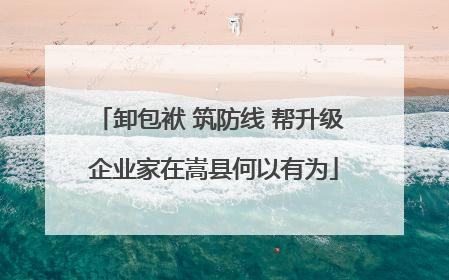 卸包袱 筑防线 帮升级 企业家在嵩县何以有为