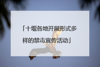 十堰各地开展形式多样的禁毒宣传活动