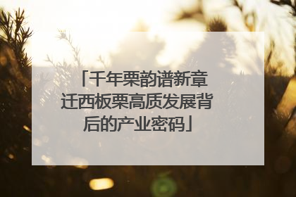 千年栗韵谱新章 迁西板栗高质发展背后的产业密码