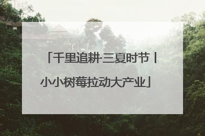 千里追耕·三夏时节丨小小树莓拉动大产业