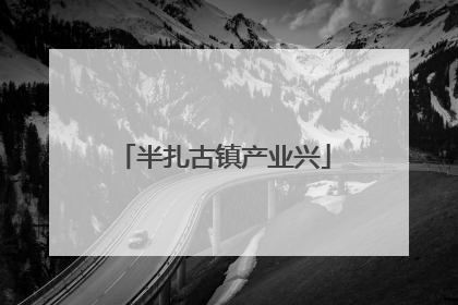半扎古镇产业兴
