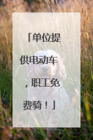 单位提供电动车，职工免费骑！