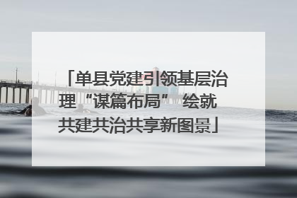 单县党建引领基层治理“谋篇布局” 绘就共建共治共享新图景