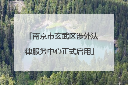 南京市玄武区涉外法律服务中心正式启用