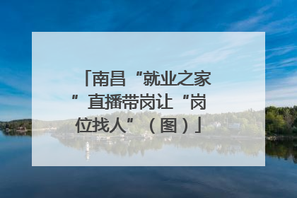 南昌“就业之家”直播带岗让“岗位找人”（图）
