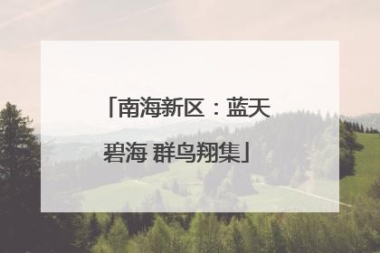 南海新区：蓝天碧海 群鸟翔集