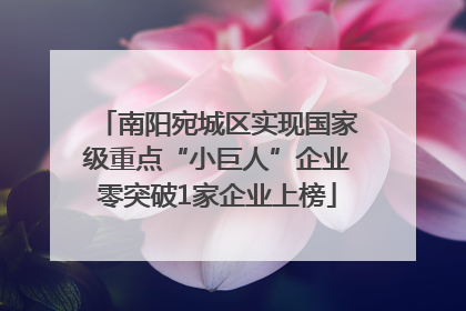 南阳宛城区实现国家级重点“小巨人”企业零突破1家企业上榜