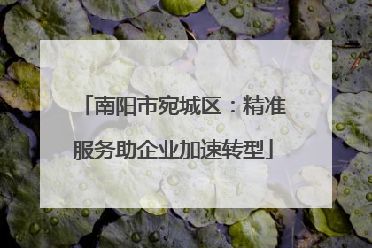 南阳市宛城区：精准服务助企业加速转型