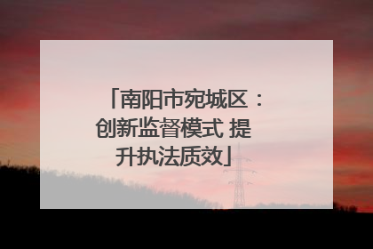 南阳市宛城区：创新监督模式 提升执法质效