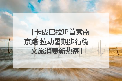 卡皮巴拉IP首秀南京路 拉动暑期步行街文旅消费新热潮