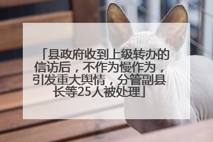 县政府收到上级转办的信访后，不作为慢作为，引发重大舆情，分管副县长等25人被处理