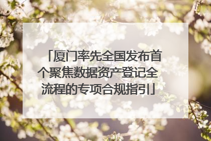 厦门率先全国发布首个聚焦数据资产登记全流程的专项合规指引