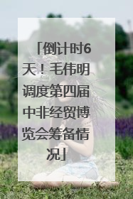 倒计时6天！毛伟明调度第四届中非经贸博览会筹备情况
