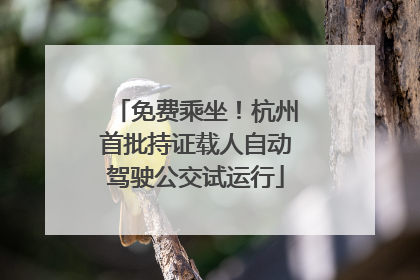 免费乘坐！杭州首批持证载人自动驾驶公交试运行
